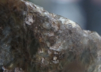 新石器时代 红山时期 马蹄箍 高古玉 NO.6731