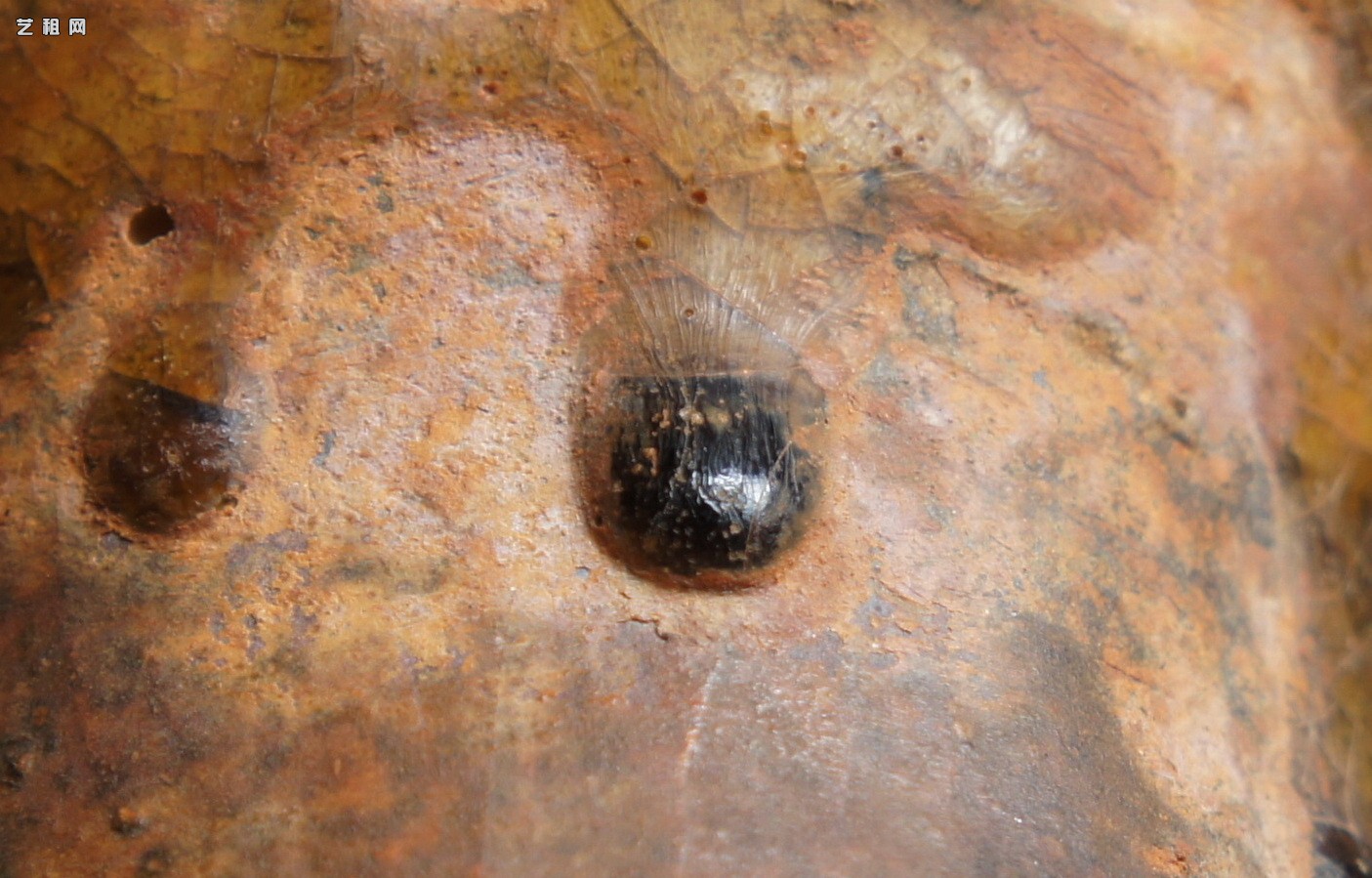 汉代青瓷微距照片 显微照片 高清图片 古陶瓷鉴定 古陶瓷收藏 俨唐古瓷馆 古陶瓷博物馆 四川博物馆 成都博物 ...