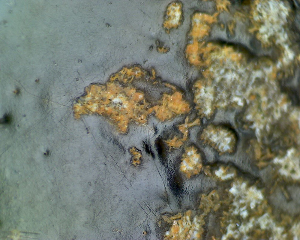 元青花 黑褐色斑 渔网纹与土沁 显微照片（ 鱼子纹 蛇皮纹 ）