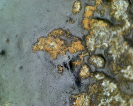 元青花 黑褐色斑 渔网纹与土沁 显微照片（ 鱼子纹 蛇皮纹 ）