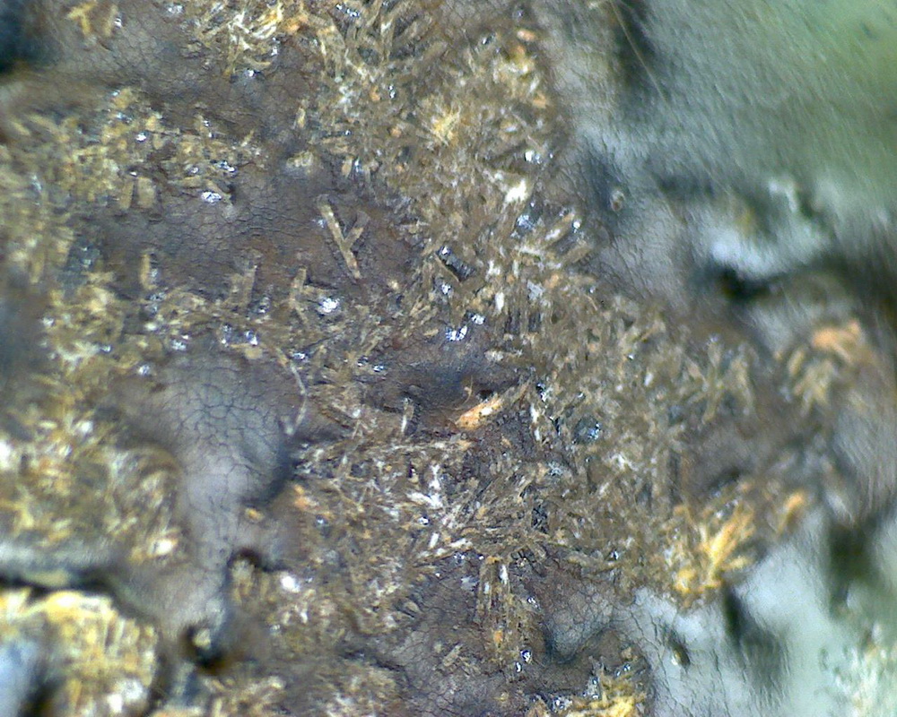 元青花 黑褐色斑 渔网纹与土沁 显微照片（ 鱼子纹 蛇皮纹 ）