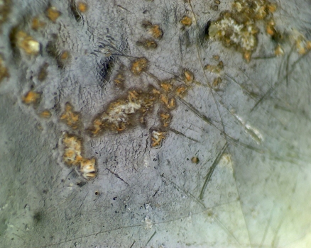 元青花 黑褐色斑 渔网纹与土沁 显微照片（ 鱼子纹 蛇皮纹 ）