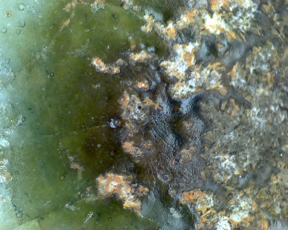 元青花 黑褐色斑 渔网纹与土沁 显微照片（ 鱼子纹 蛇皮纹 ）