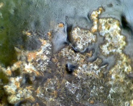 元青花 黑褐色斑 渔网纹与土沁 显微照片（ 鱼子纹 蛇皮纹 ）