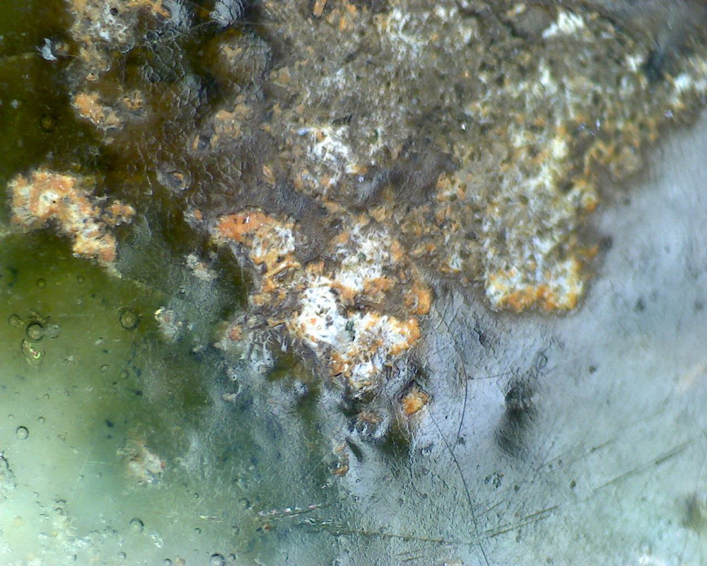 元青花 黑褐色斑 渔网纹与土沁 显微照片（ 鱼子纹 蛇皮纹 ）