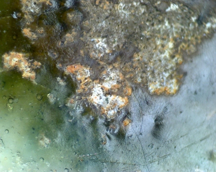 元青花 黑褐色斑 渔网纹与土沁 显微照片（ 鱼子纹 蛇皮纹 ）