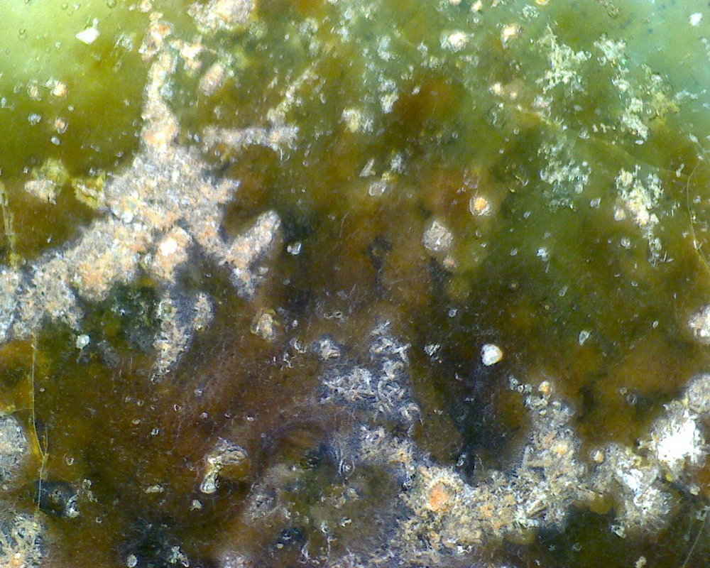 元青花 黑褐色斑 渔网纹与土沁 显微照片（ 鱼子纹 蛇皮纹 ）