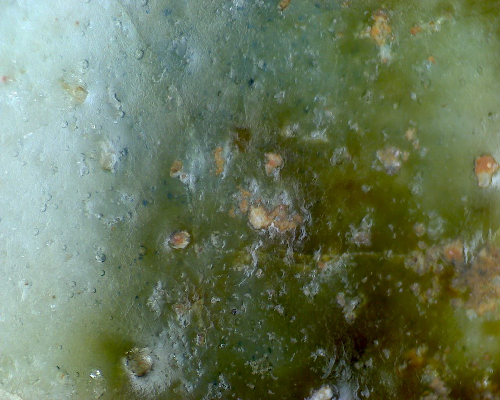 元青花 黑褐色斑 渔网纹与土沁 显微照片（ 鱼子纹 蛇皮纹 ）