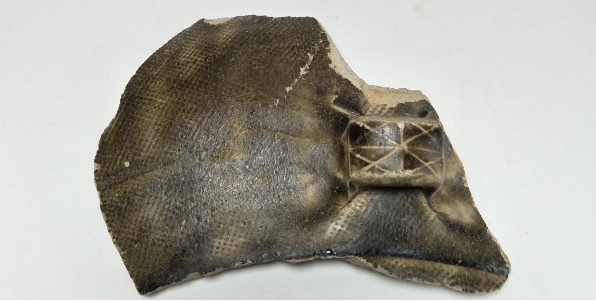 汉代 至 唐代 青瓷 网格纹 耳系