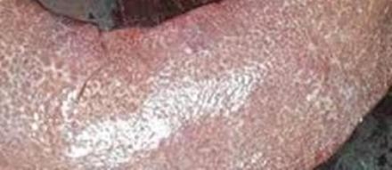  粉翠胎金洁，华胰光暗滋