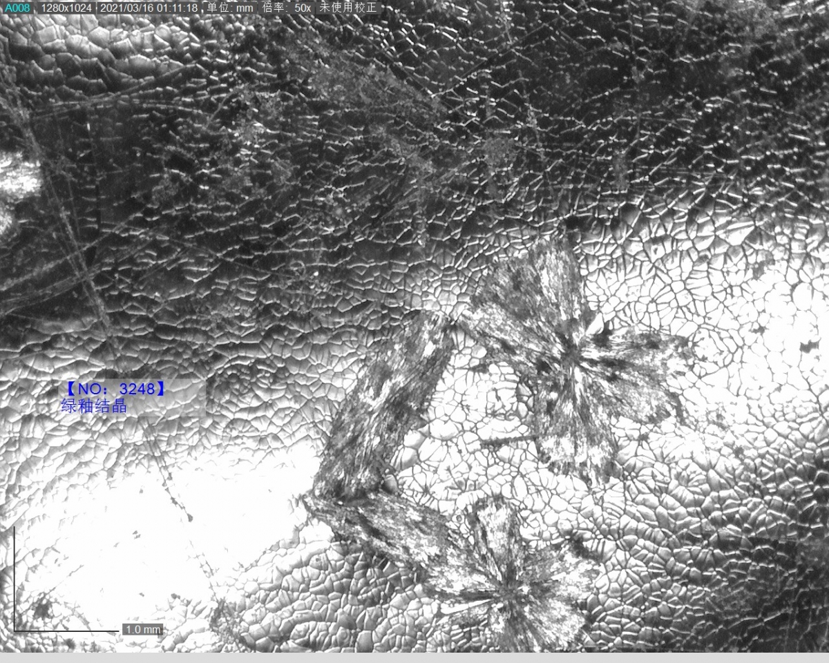 3248 绿釉结晶 偏光显微镜1.jpg