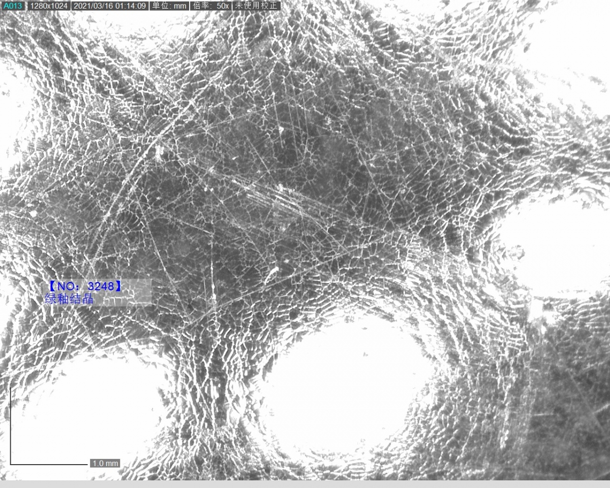 3248 绿釉结晶 偏光显微镜6.jpg