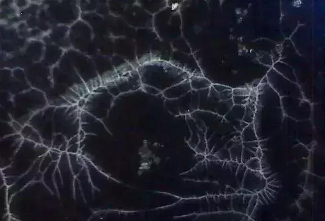 显微镜 观察 古陶瓷 釉面 表面 老化 痕迹 现象