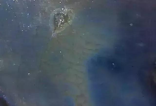 显微镜 观察 古陶瓷 釉面 表面 老化 痕迹 现象