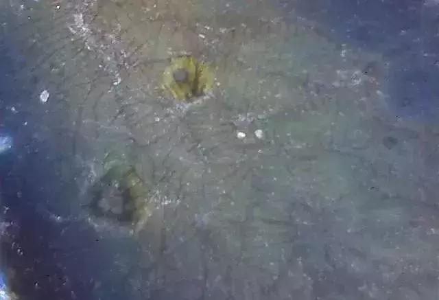 显微镜 观察 古陶瓷 釉面 表面 老化 痕迹 现象