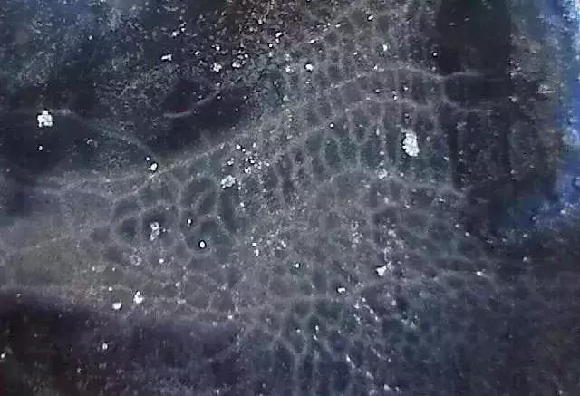 显微镜 观察 古陶瓷 釉面 表面 老化 痕迹 现象