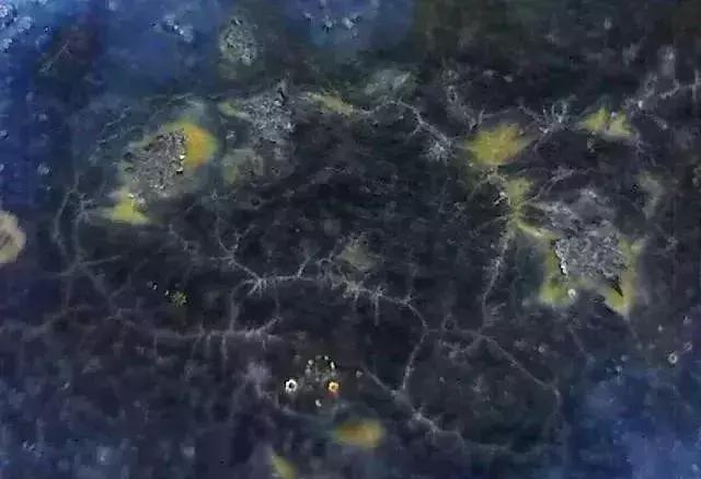 显微镜 观察 古陶瓷 釉面 表面 老化 痕迹 现象