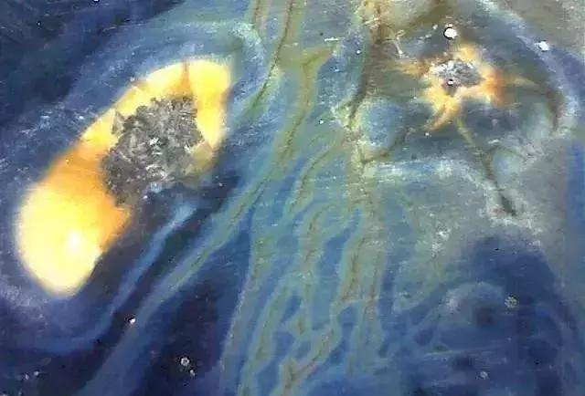 显微镜 观察 古陶瓷 釉面 表面 老化 痕迹 现象