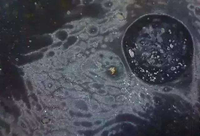 显微镜 观察 古陶瓷 釉面 表面 老化 痕迹 现象