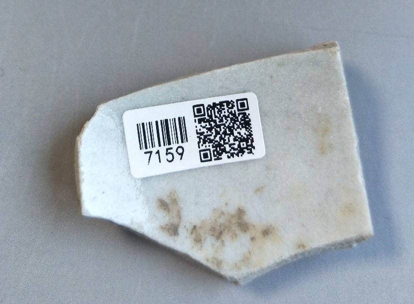 明代 红彩釉 鱼纹  7158