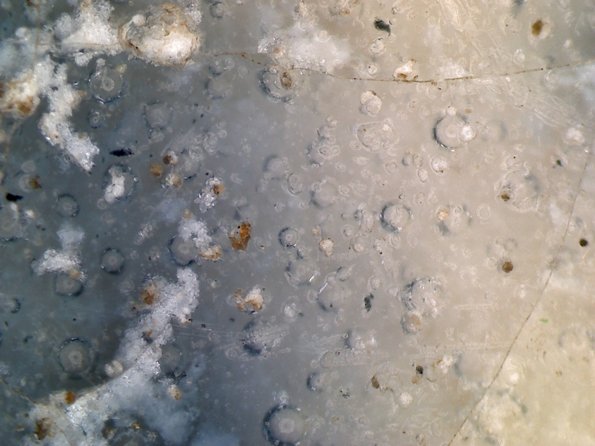  明代青花盖盒 显微图片 俨唐古瓷馆 四川古陶瓷鉴定 古陶瓷收藏 文物鉴定 古玩收藏