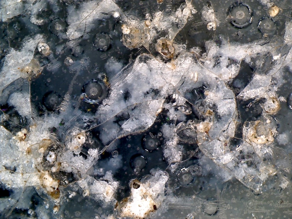  明代青花盖盒 显微图片 俨唐古瓷馆 四川古陶瓷鉴定 古陶瓷收藏 文物鉴定 古玩收藏