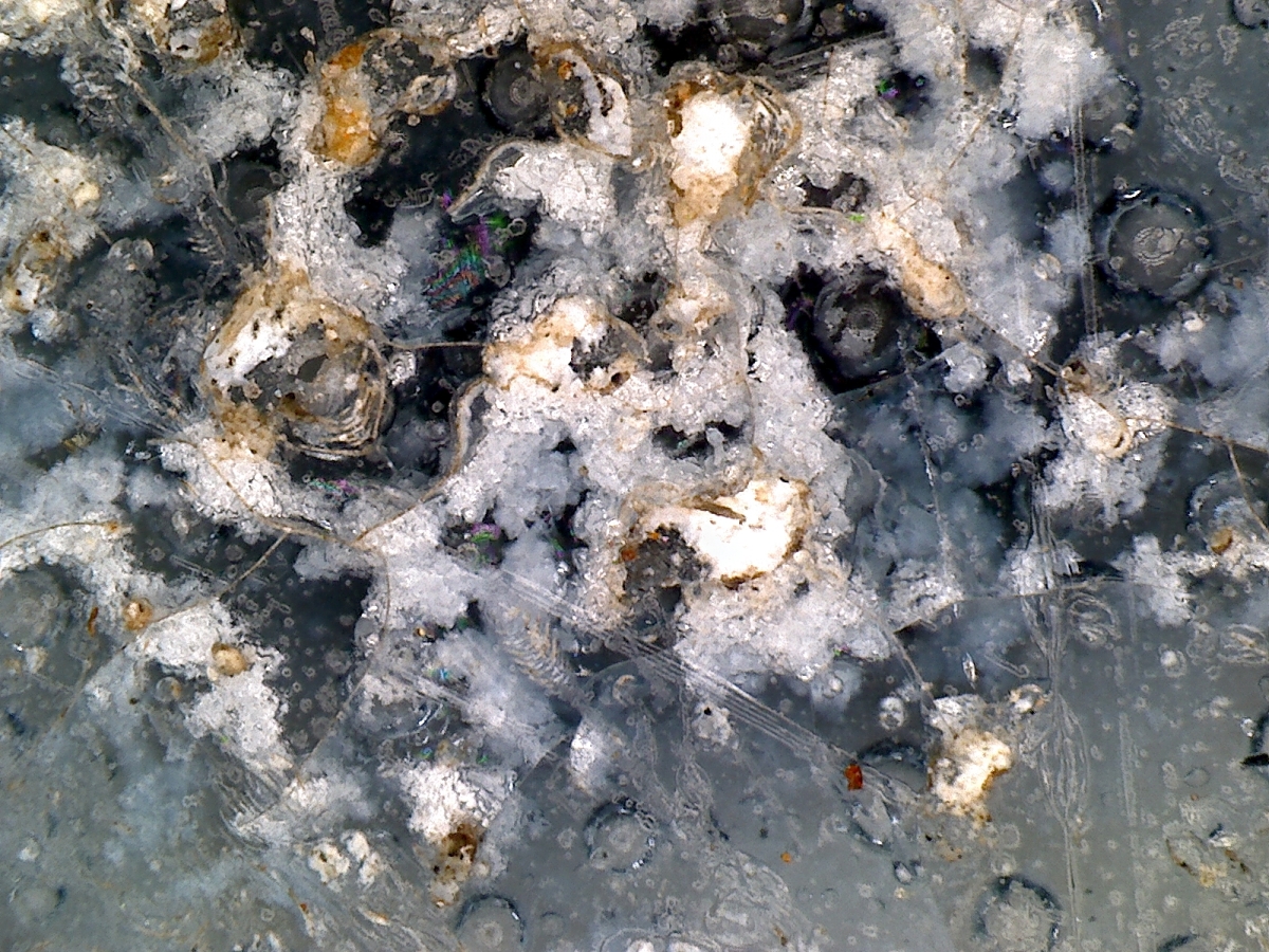  明代青花盖盒 显微图片 俨唐古瓷馆 四川古陶瓷鉴定 古陶瓷收藏 文物鉴定 古玩收藏