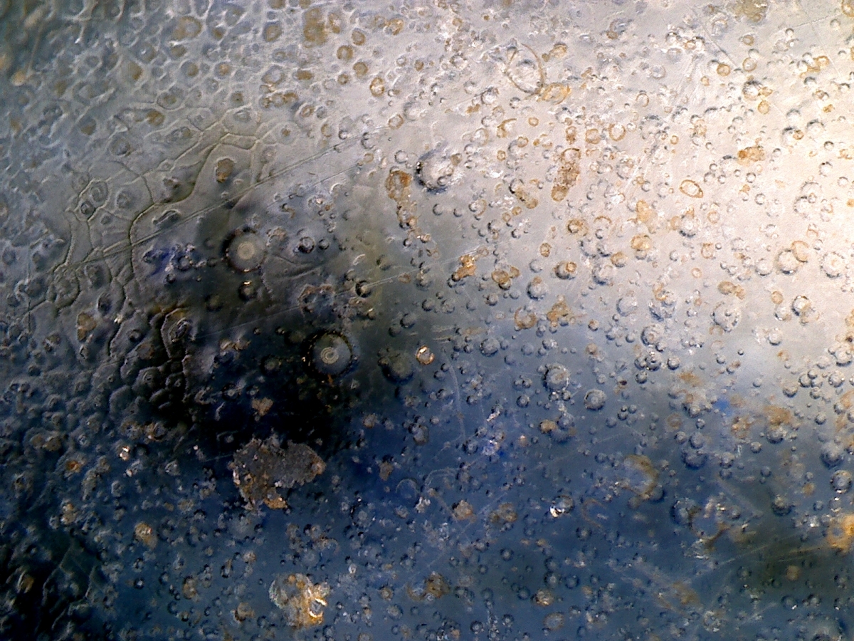 明代嘉靖年青花凤纹盖罐 NO.6624 显微