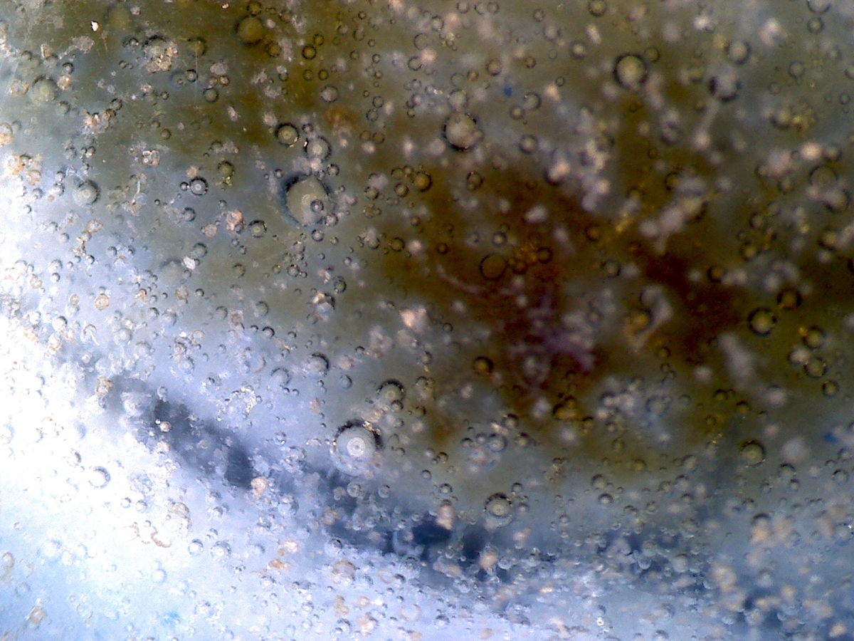 明代嘉靖年青花凤纹盖罐 NO.6624 显微