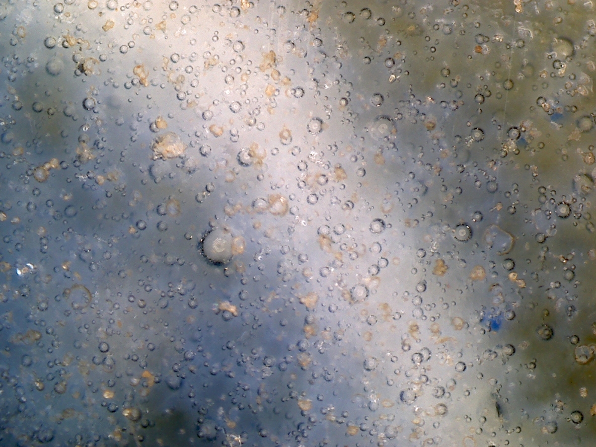 明代嘉靖年青花凤纹盖罐 NO.6624 显微