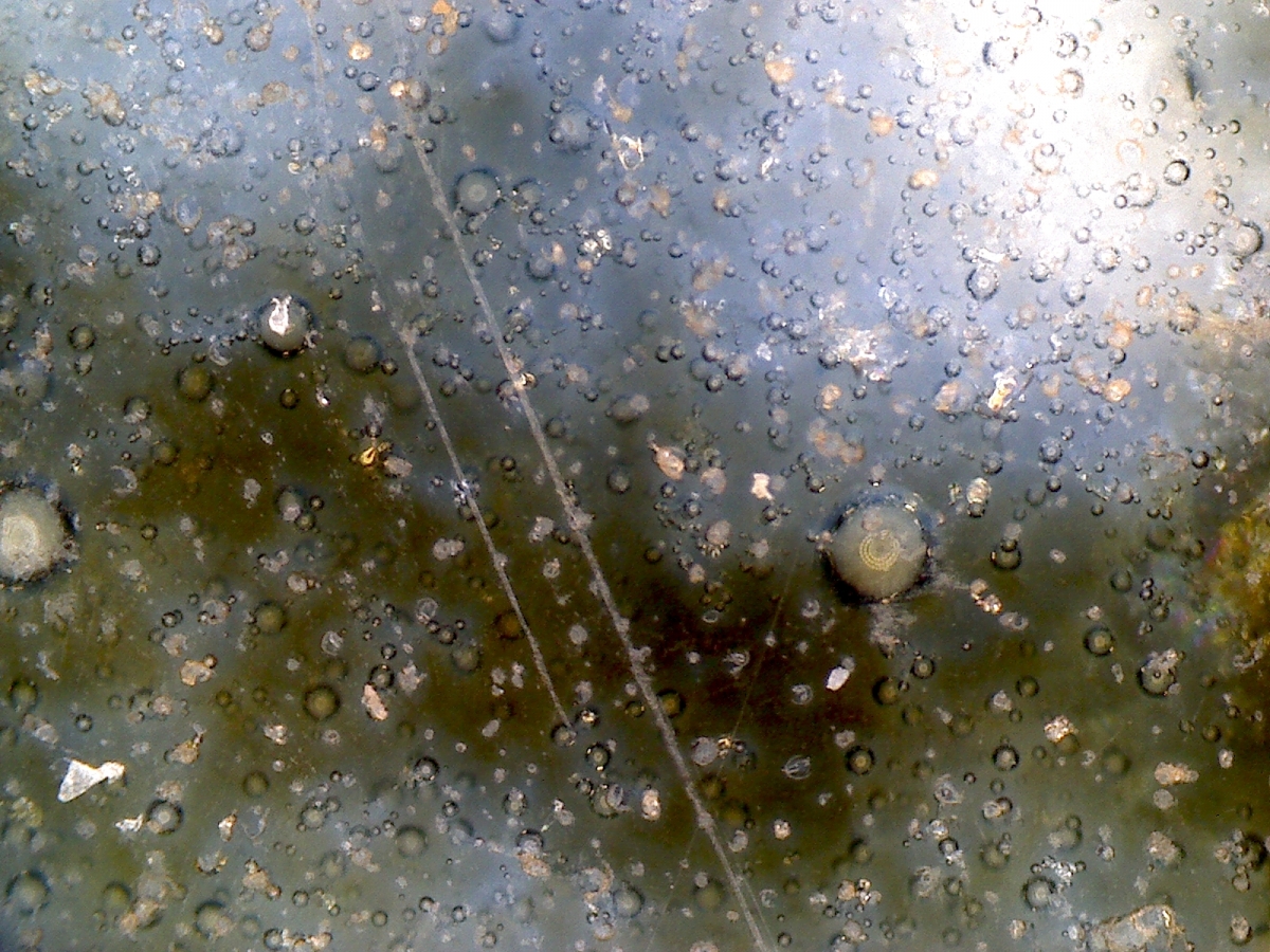 明代嘉靖年青花凤纹盖罐 NO.6624 显微