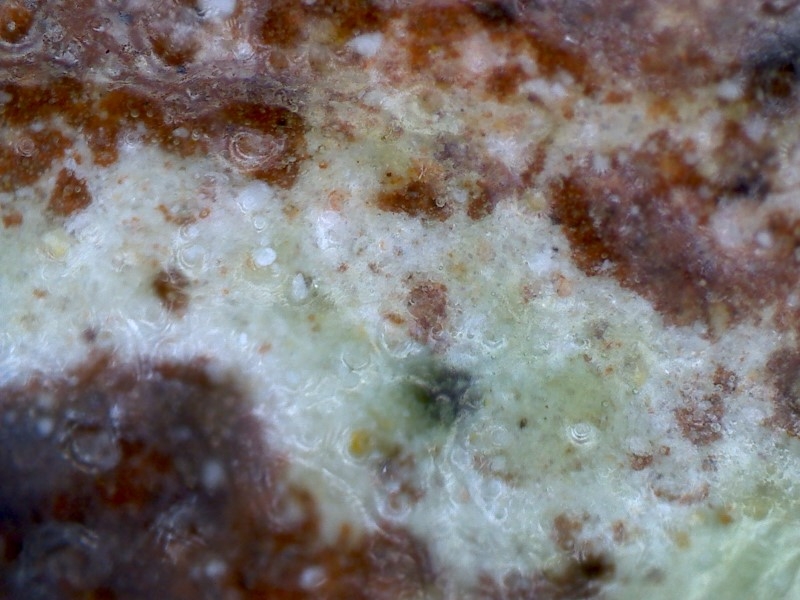 7335 宋代 绿釉 口哨 陶俑 显微013.jpg