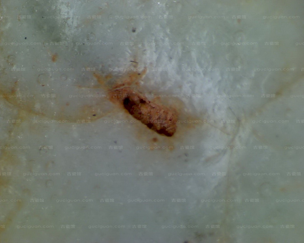 宋代影青鱼纹碗显微照片