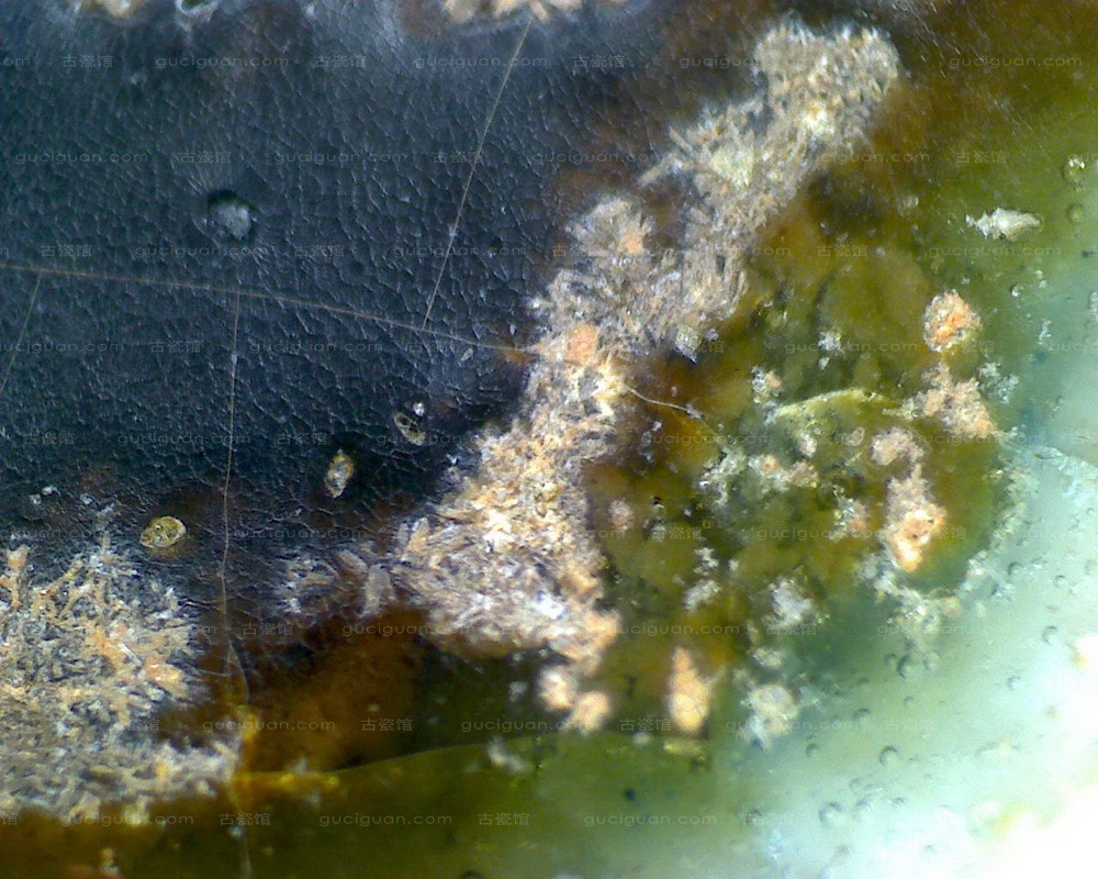 元青花 葫芦叶 点彩 盖罐_07.JPG