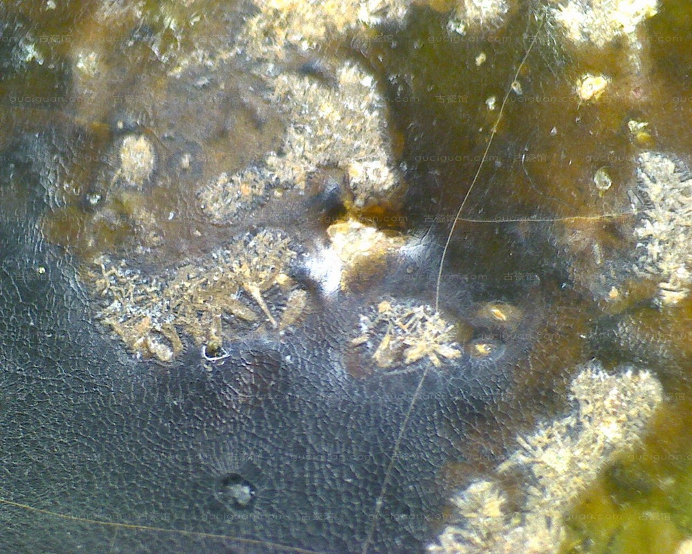 元青花 葫芦叶 点彩 盖罐_08.JPG