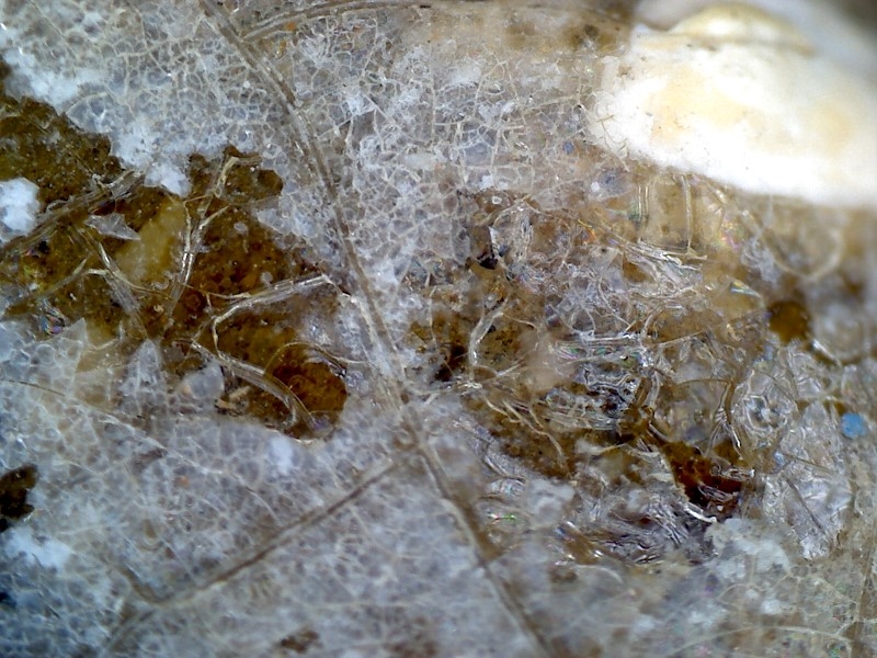 唐代 野猪 独角兽 尾巴 水沁 反铅 显微照片004.jpg