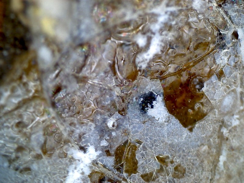 唐代 野猪 独角兽 尾巴 水沁 反铅 显微照片007.jpg