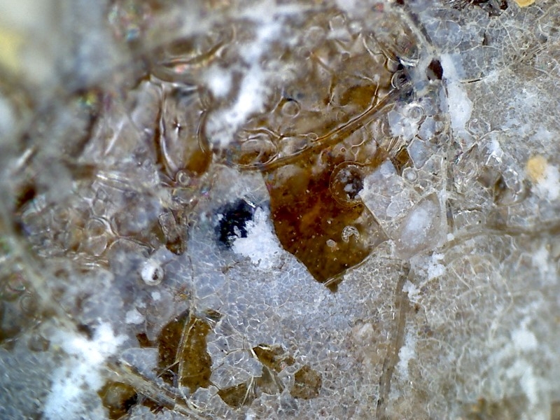 唐代 野猪 独角兽 尾巴 水沁 反铅 显微照片008.jpg