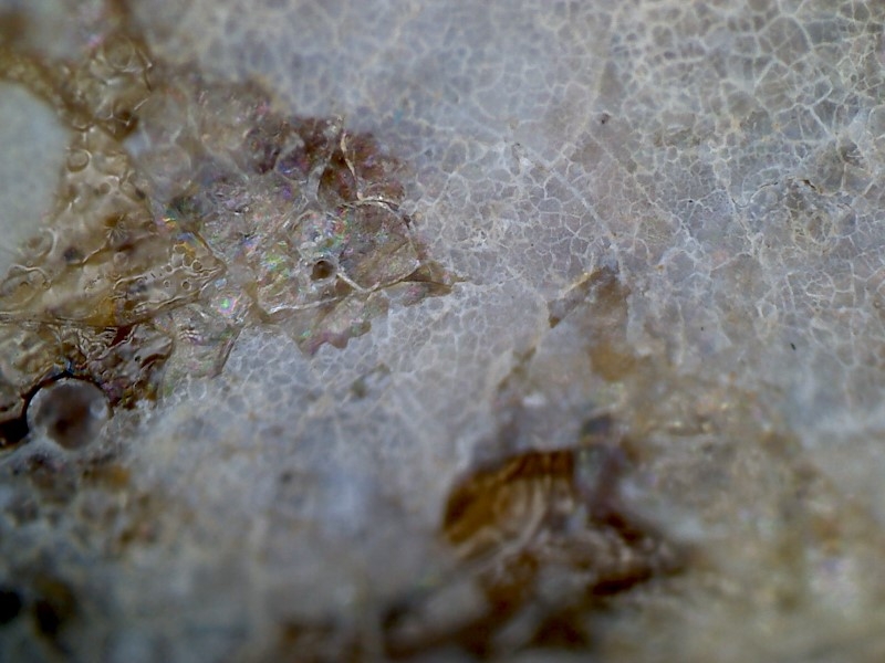 唐代 野猪 独角兽 尾巴 水沁 反铅 显微照片021.jpg