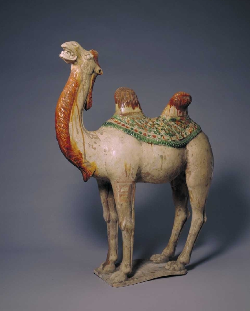  唐代 三彩骆驼 故宫 博物院藏 俨唐古瓷馆 古陶瓷标本馆 古陶瓷博物馆 四川博物馆 成都博物馆 四川文物鉴定 ...