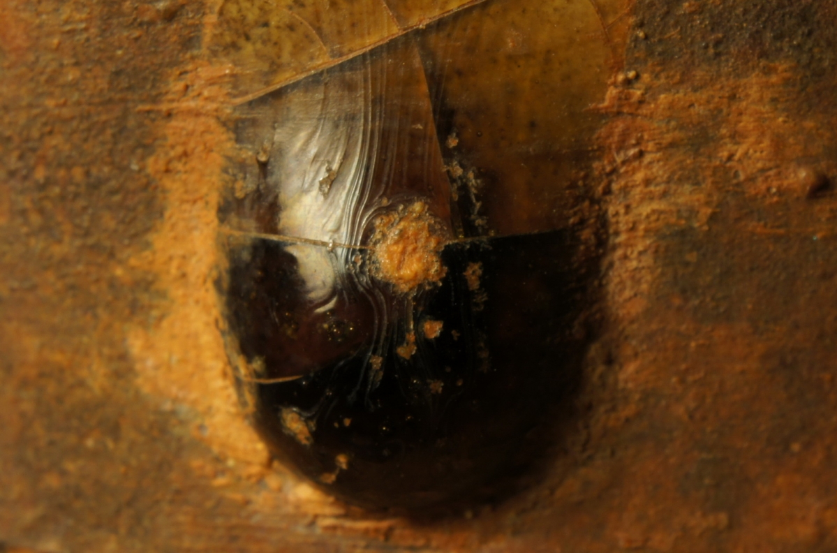 汉代青瓷微距照片 显微照片 高清图片