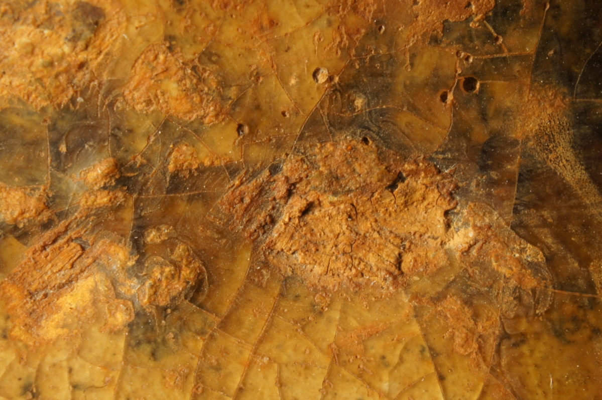 汉代青瓷微距照片 显微照片 高清图片 古陶瓷鉴定 古陶瓷收藏 俨唐古瓷馆 古陶瓷博物馆 四川博物馆 成都博物 ...