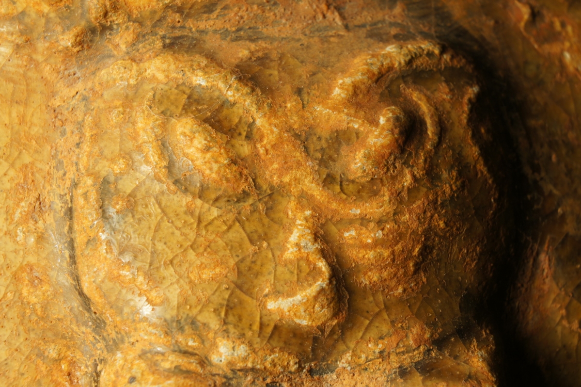 汉代青瓷微距照片 显微照片 高清图片 古陶瓷鉴定 古陶瓷收藏 俨唐古瓷馆 古陶瓷博物馆 四川博物馆 成都博物 ...