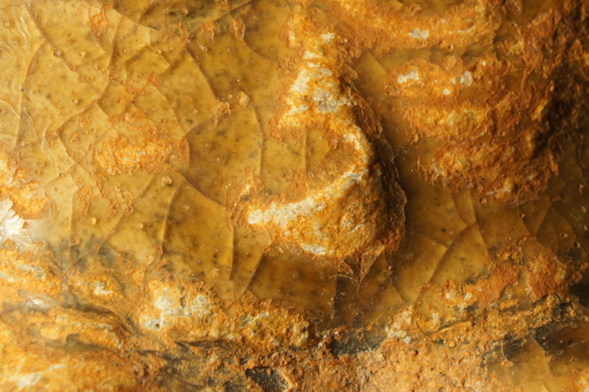 汉代青瓷微距照片 显微照片 高清图片 古陶瓷鉴定 古陶瓷收藏 俨唐古瓷馆 古陶瓷博物馆 四川博物馆 成都博物 ...