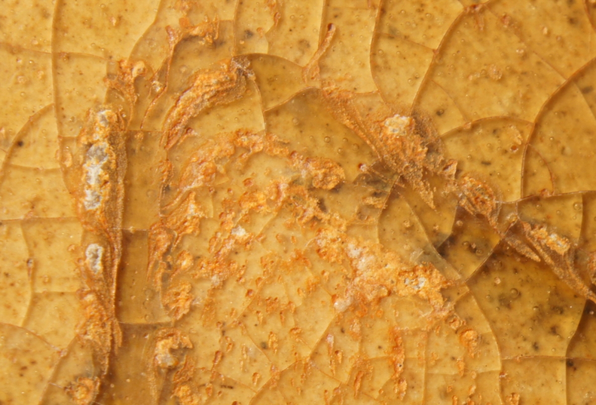 汉代青瓷微距照片 显微照片 高清图片 古陶瓷鉴定 古陶瓷收藏 俨唐古瓷馆 古陶瓷博物馆 四川博物馆 成都博物 ...