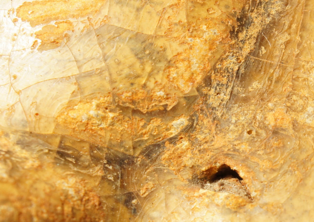 汉代青瓷微距照片 显微照片 高清图片 古陶瓷鉴定 古陶瓷收藏 俨唐古瓷馆 古陶瓷博物馆 四川博物馆 成都博物 ...