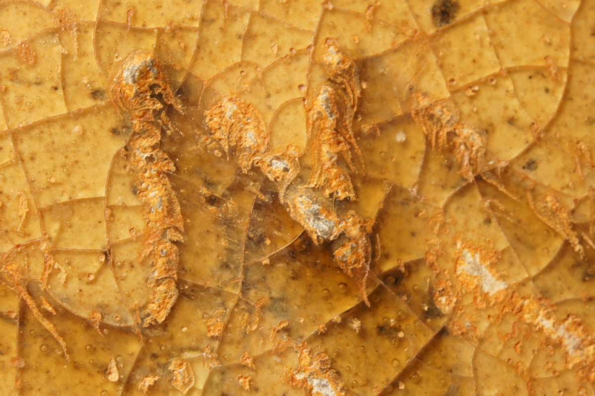 汉代青瓷微距照片 显微照片 高清图片 古陶瓷鉴定 古陶瓷收藏 俨唐古瓷馆 古陶瓷博物馆 四川博物馆 成都博物 ...