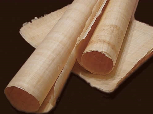 世界上 最古老 最早 的纸 — 纸莎草纸