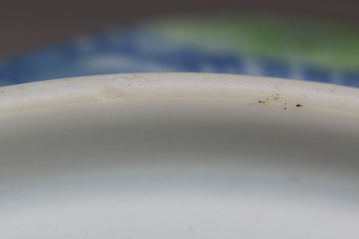 清 嘉庆 道光 斗彩 荷塘