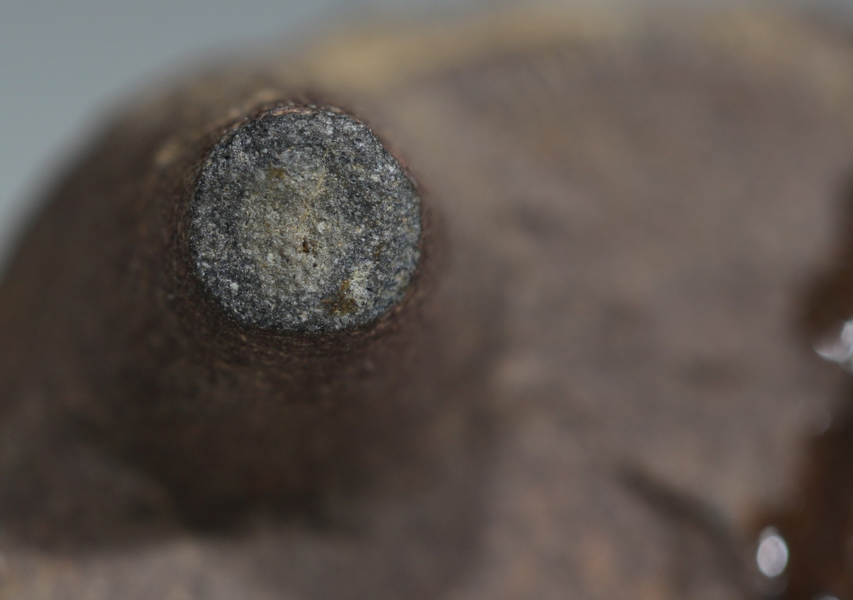 宋代 官窑 窑具 支钉烧 NO.7618